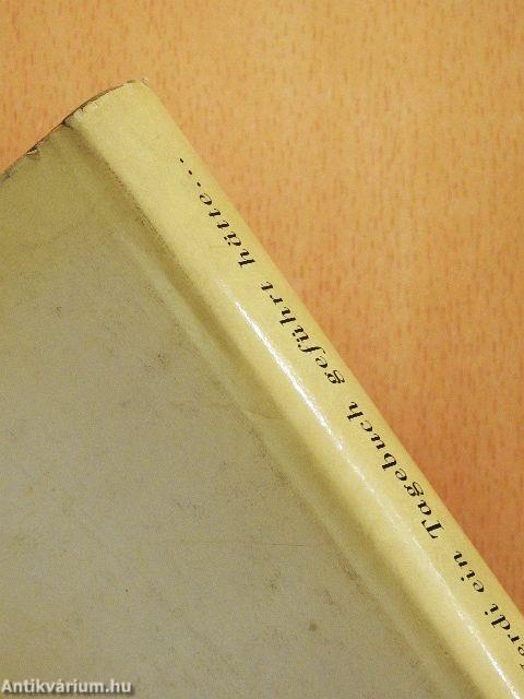 Wenn Verdi ein Tagebuch geführt hätte...