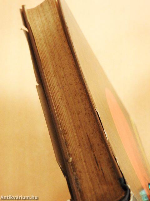 Az ősidők regénye