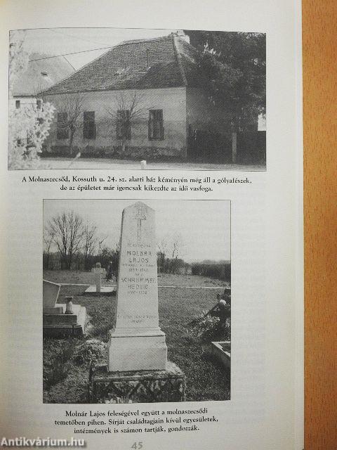 Molnár Lajos madárgyűjteménye