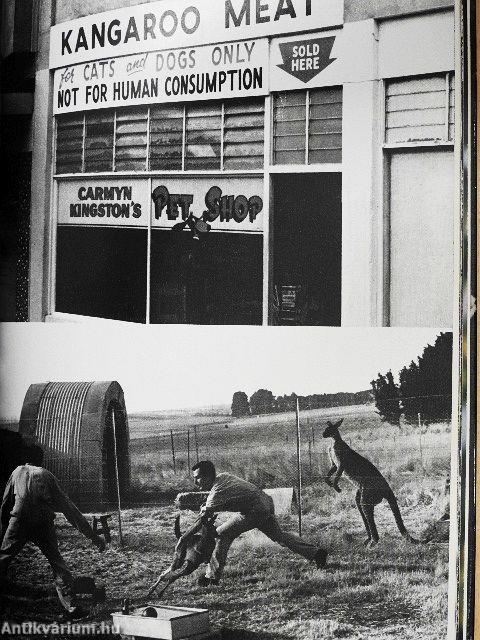 Ausztrália különös állatai