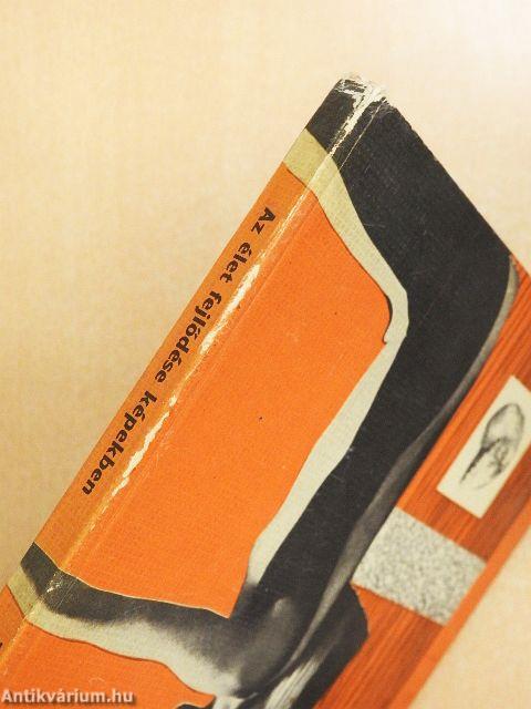 Az élet fejlődése képekben