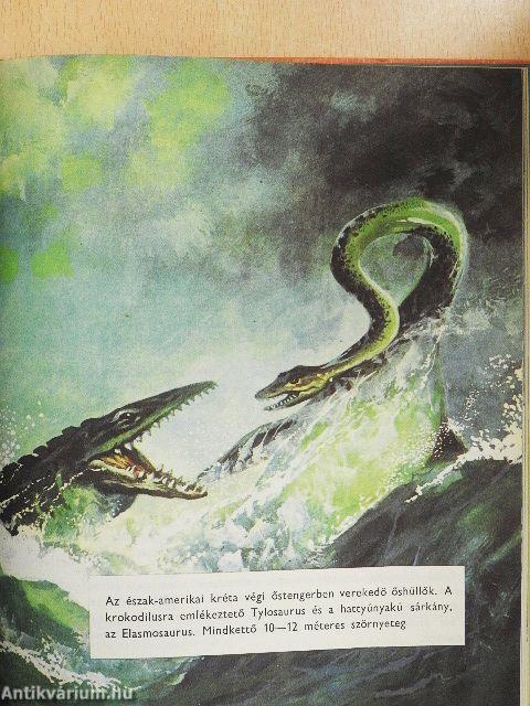 Az élet fejlődése képekben