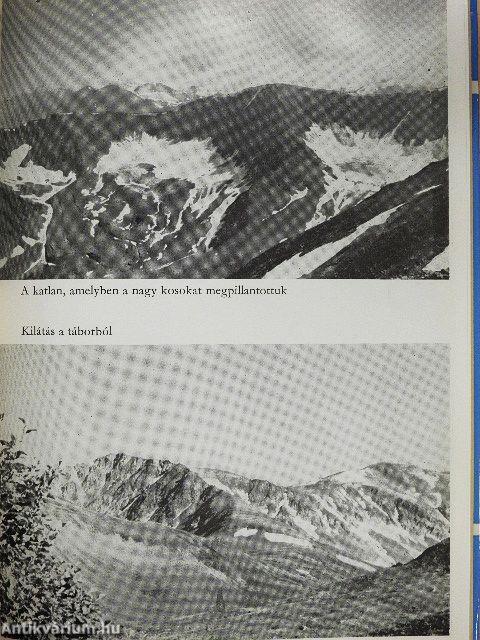 Alaszkában vadásztam