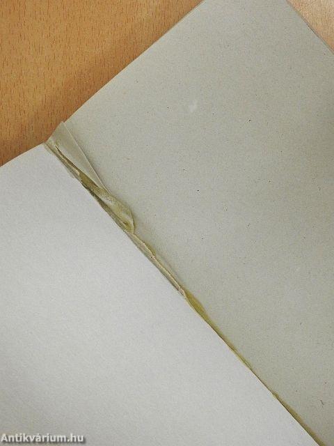 Bűnös vagy áldozat?