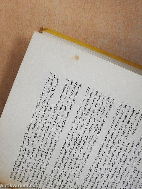 Kittenberger Kálmán élete 