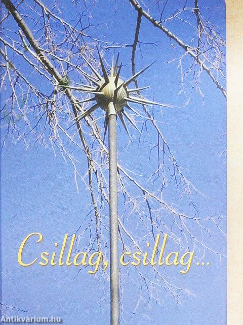 Csillag, csillag...