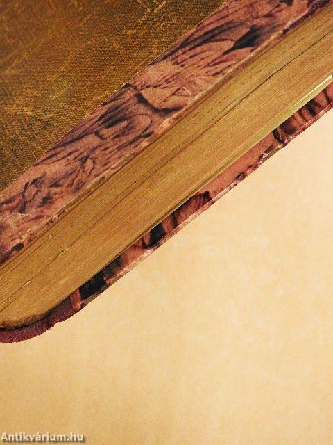 A vizjogi törvény I.