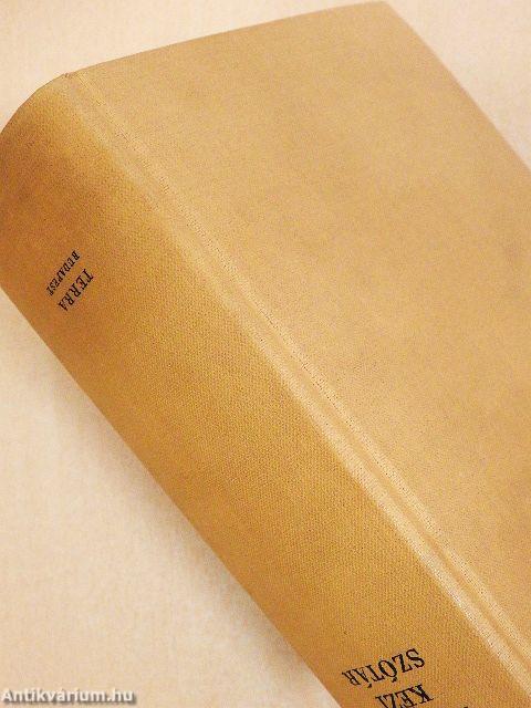 Spanyol-magyar kéziszótár