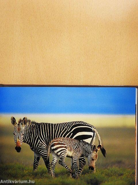 Wildlife of South Africa