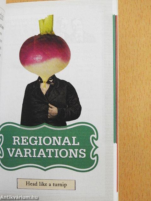 Irish - Language & Culture