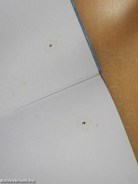 Történetek a középkorból