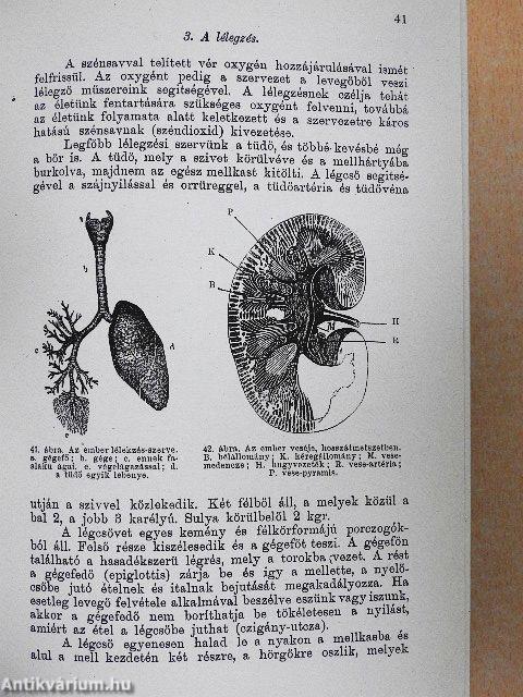 A természet világa