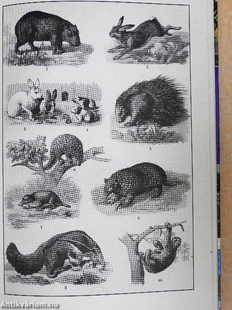 A természet világa