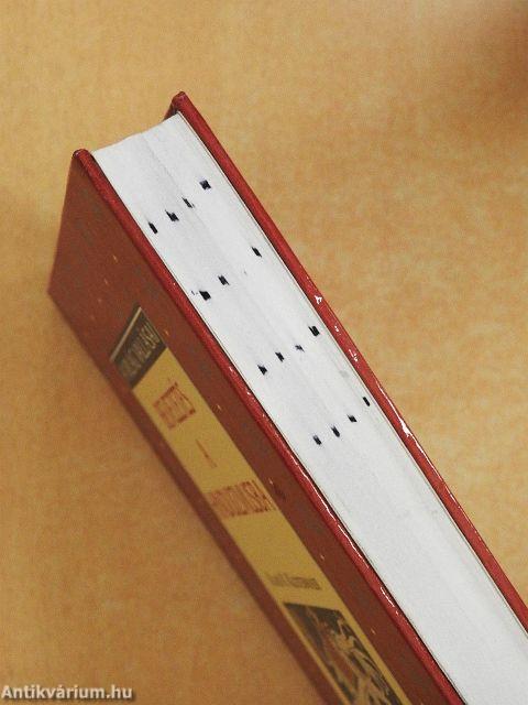 Bevezetés a hinduizmusba