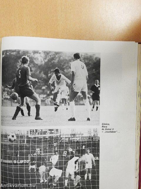 Száz év lila-fehérben