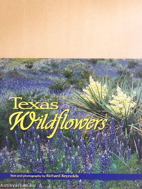 Texas - Wildflowers
