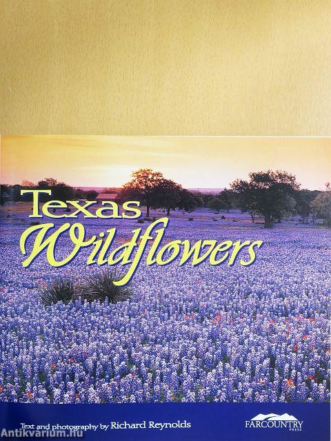 Texas - Wildflowers