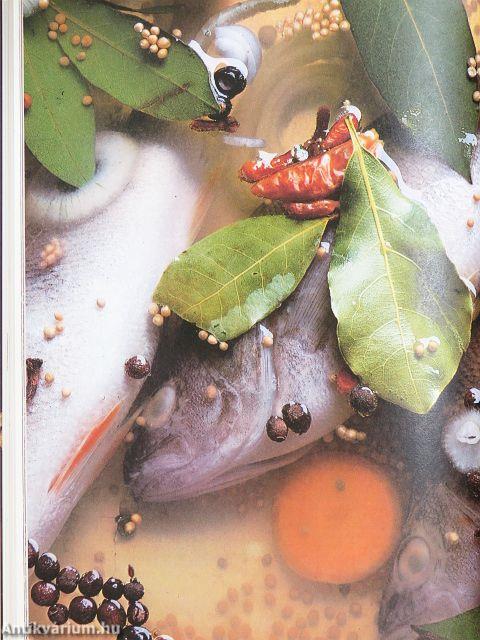 Das Dr. Oetker Kochbuch 