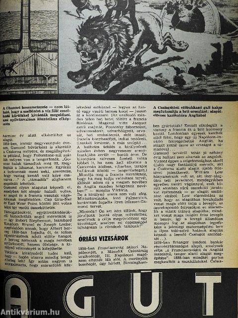 IPM 1981. január-december I-II.