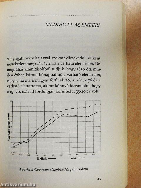 Paleolit táplálkozás kezdőknek