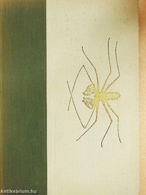 Kalandok a brazíliai őserdőben