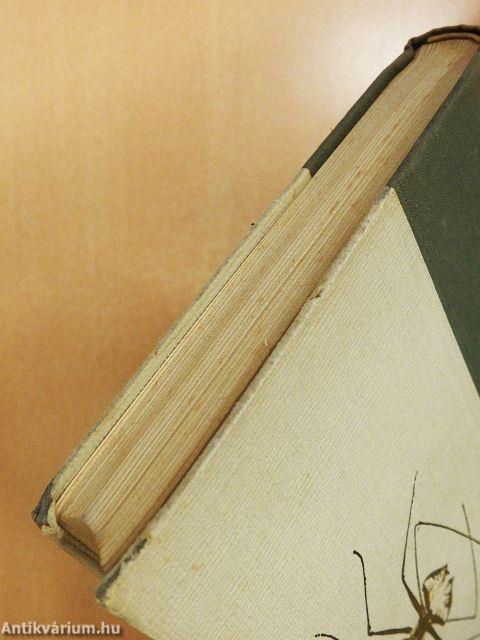 Kalandok a brazíliai őserdőben