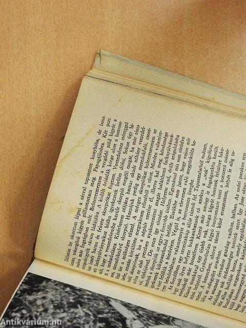 Kalandok a brazíliai őserdőben