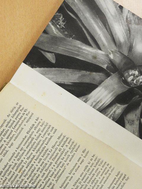 Kalandok a brazíliai őserdőben