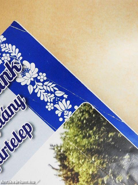 A mi kis falunk Nyírbogdány Gyártelep