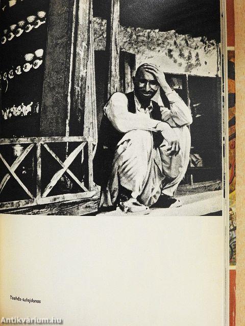 A kultúrák keresztútján