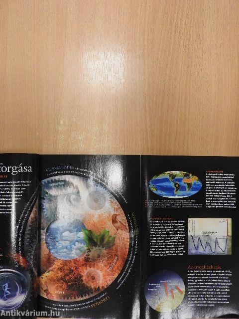 National Geographic Magyarország 2004. január-december