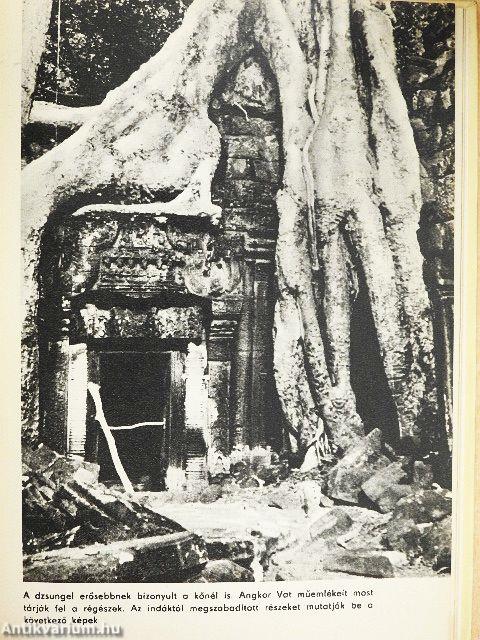 A világ leghosszabb útvonalán