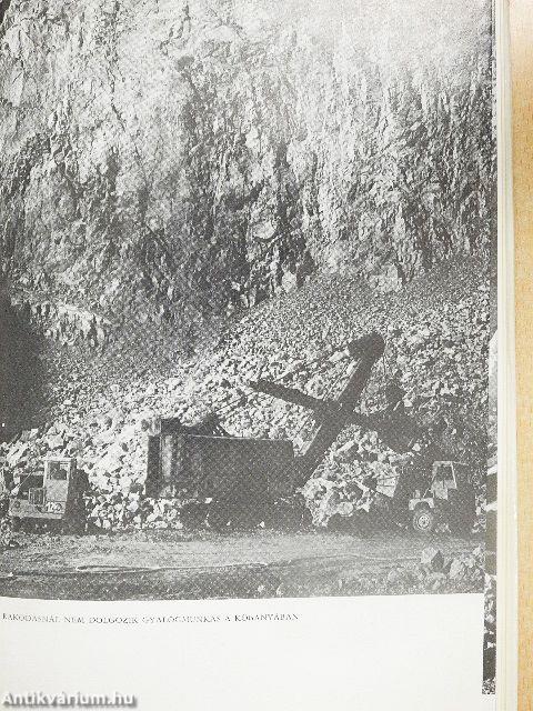 Tisztelet Komlónak!