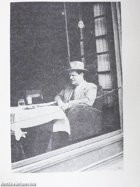 Mennyei Riport/Utazás a koponyám körül