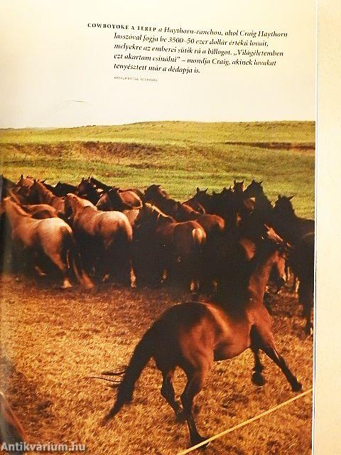 National Geographic Magyarország 2004. május