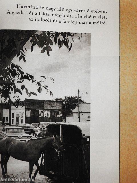 National Geographic Magyarország 2004. május