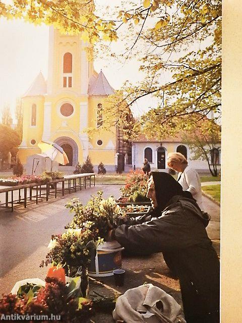 National Geographic Magyarország 2004. július