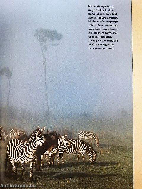 National Geographic Magyarország 2003. szeptember