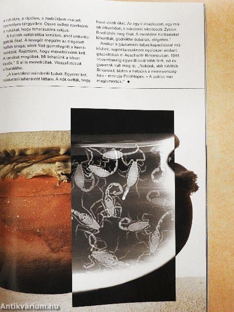 National Geographic Magyarország 2005. május