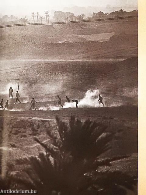 National Geographic Magyarország 2006. június