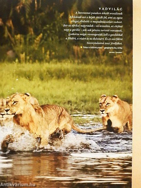National Geographic Magyarország 2005. szeptember