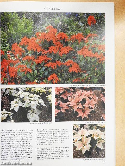 Indoor and Greenhouse Plants 1-2.