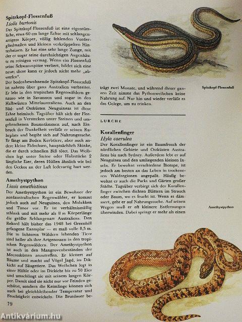 Die Tiere Australiens