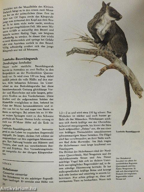 Die Tiere Australiens