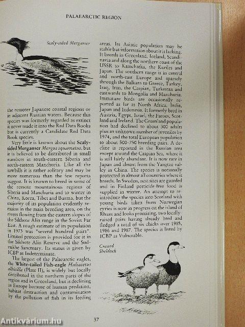 Rare Birds of the World