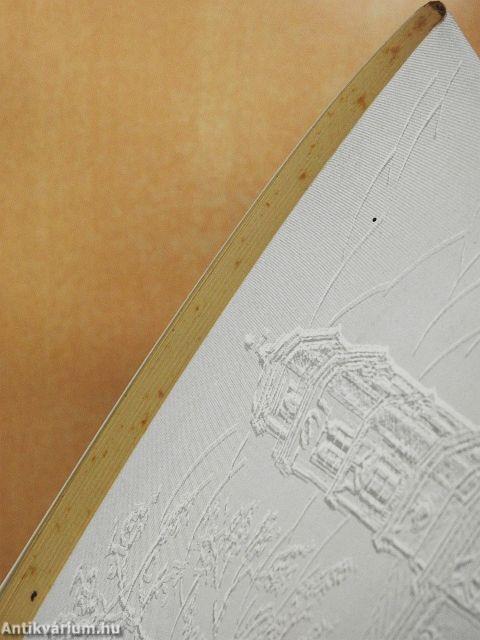 Nagyvárad református templomai