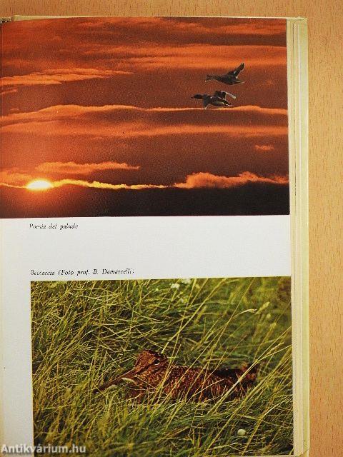 Il Libro del Cacciatore