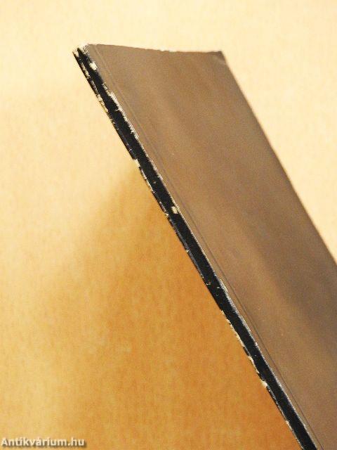 Magyarországi reneszánsz művészet