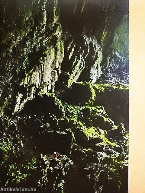 National Geographic Magyarország 2019. december