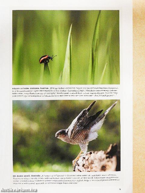 National Geographic Magyarország 2023. május